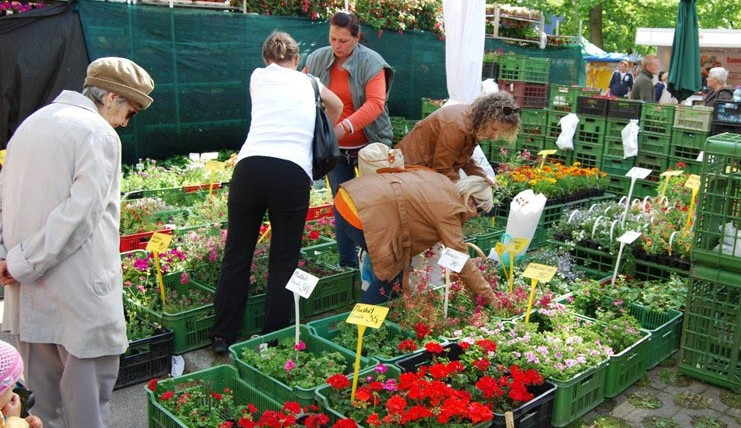 Všude byla spousta květin a lidí