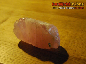 Růženín dovezený z Namibie