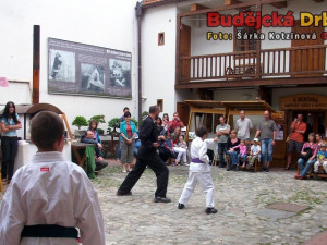 Japonské kulturní dny v domě U Beránka