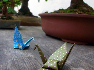 Japonské kulturní dny v domě U Beránka