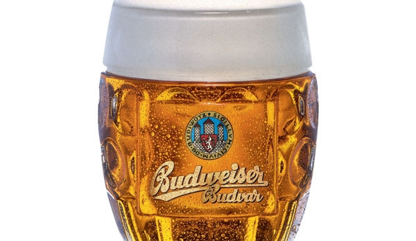 Kroužkovaný ležák od pivovaru Budějovický Budvar