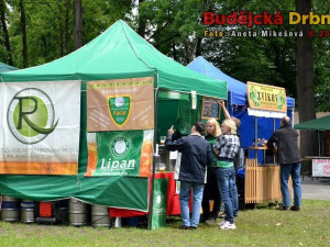 16. Slavnosti piva 2012