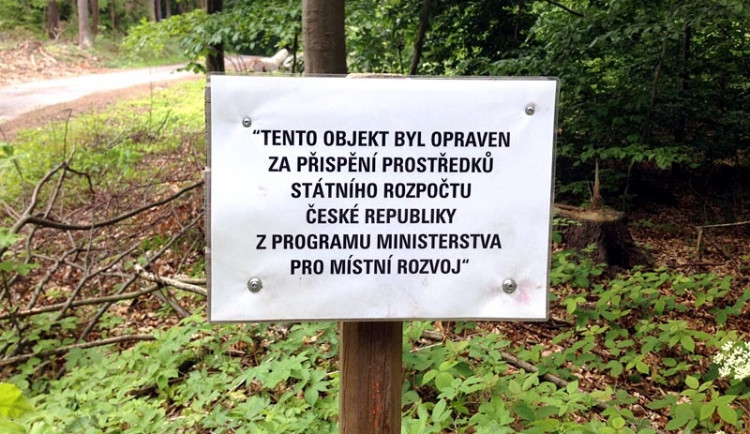 Cedulka uprostřed lesa