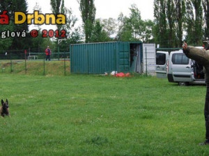 Policie předvedla zadržení pachatele pomocí cvičeného psa