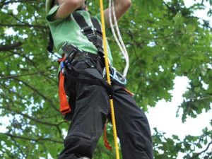 Na Máji se otevřel nový lanový park