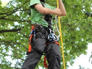 Adrenalin v lese? To je nový lanový park