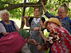 Univerzální drbnou je Jana Synková