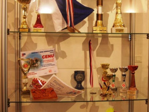 Úspěchy sokolů ve sporu dokazuje mnoho ocenění