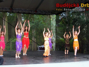 Zahradní slavnosti DDM