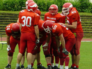Budweis Hellboys - Blades Ústí nad Labem 50:12