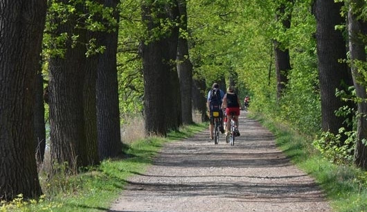 Přírodní rezervace Vrbenské rybníky