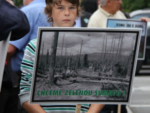 Protest a Antiprotest v Hluboké nad Vltavou