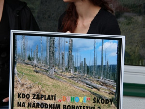 Protest a Antiprotest v Hluboké nad Vltavou