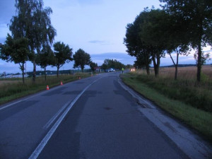 Řidič a nezletilá spolujezdkyně zemřeli při nárazu do stromu