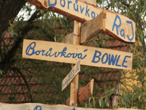 Borovanské Borůvkobraní