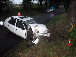 Při snaze sebrat mobil narazil do vrostlého stromu