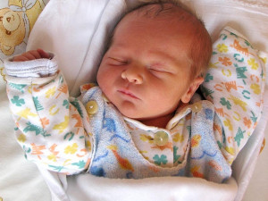 Budějcká porodnice měla během července napilno