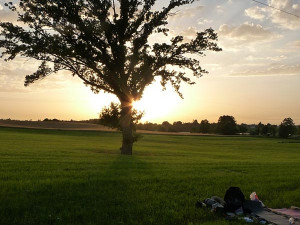 Na poli nedaleko města Rosenheim, kterým začínají Alpy