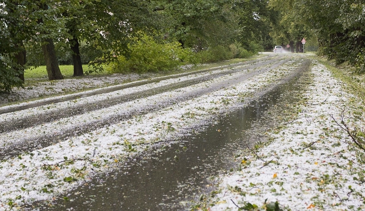 Plavská. Foto David Louženský