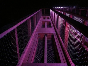 Stezka korunami stromů na Lipně je osvětlena