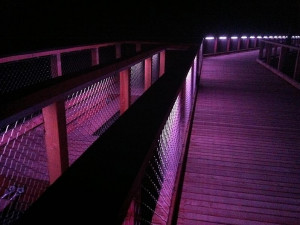 Stezka korunami stromů na Lipně je osvětlena