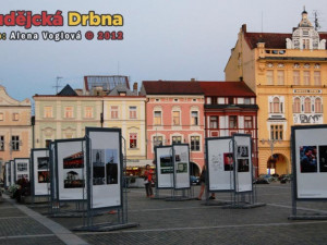 Konfrontaci si můžete prohlédnout zdarma a v jakoukoliv dobu