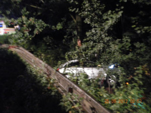 Náraz do stromu u Trocnova nepřežil v sobotu ráno řidič Audi Q7