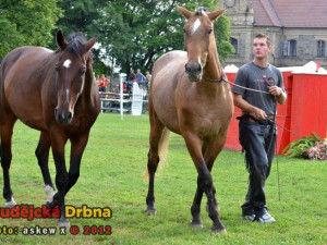 Miloslav Simandl se svými koňmi Denym a Apawi