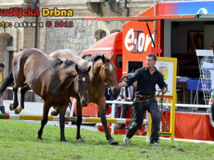 Miloslav Simandl se svými koňmi Denym a Apawi