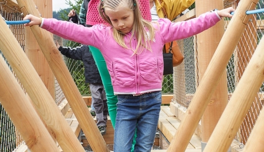 Stezka korunami stromů na Lipně