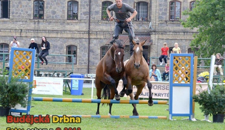 Miloslav Simandl se svými koňmi Denym a Apawi