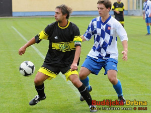 TJ Dražice - TJ Hluboká nad Vltavou 8:0 (3:0)