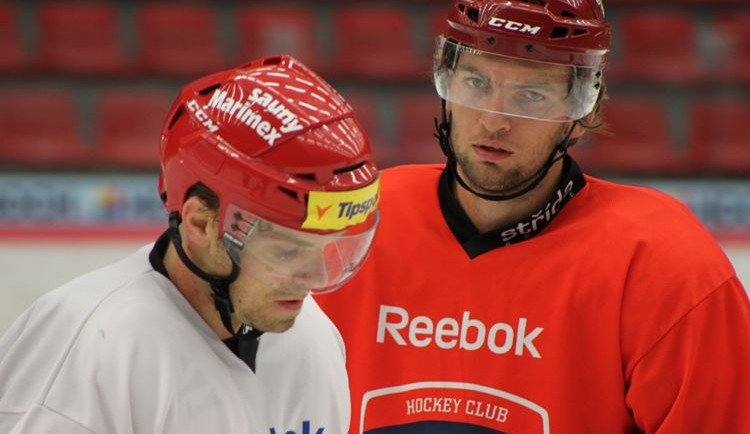 Milan Michálek (vlevo) a Martin Hanzal