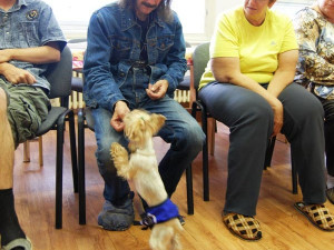 Izí dostává na začátek od každého pamlsek