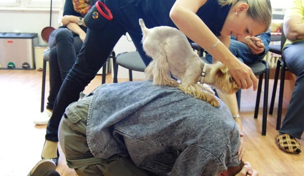 Zkouška polohy želvy