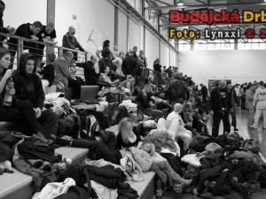Brazilian Jiu-Jitsu Hungarian Open 2012