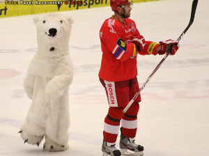 René Vydarený a lední medvěd ve sprintu