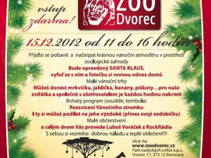 Vánoce v Zoo Dvorec