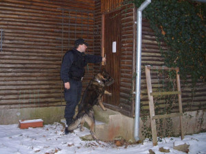 Počet vloupání do chat roste, škoda rapidně stoupla