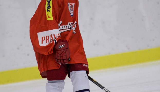 Syn Daniela Fleischmana - Dan mladší