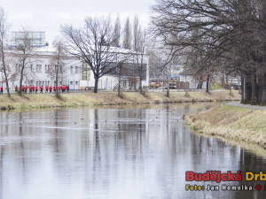 Kluci zamířili rovnou do Stromovky