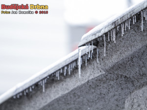 Paní Zima na návštěvě v Budějcích