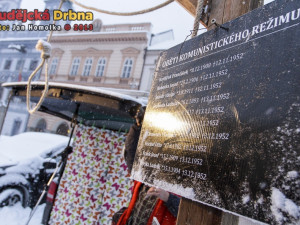 Protestní shromáždění proti zástupcům KSČM v radě Jihočeského kraje