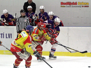 Budějcký Roman Fousek se snaží prosadit do útočné třetiny