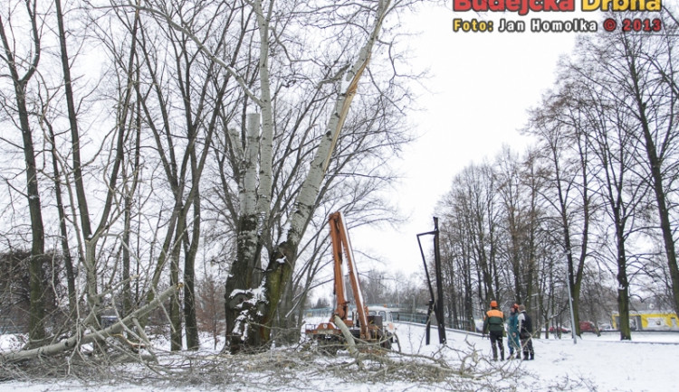 Kácení topolů v parku Na Dlouhé louce