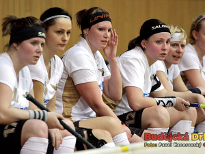 Domácí lavička sleduje průběh hry