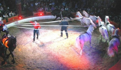 Švýcarský cirkus přivede Jihočechy k údivu