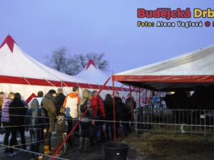 O přestávce bylo možné si prohlédnout zvířata zblízka