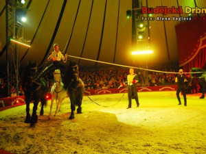FOTO: Ve švýcarském cirkuse zavlála česká vlajka
