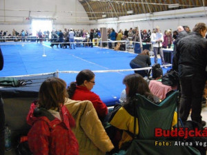 Ve dvou budovách soutěžily různé kategorie